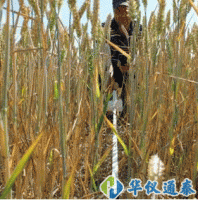 英国Delta-T Devices  SunScan专业版植物冠层分析仪