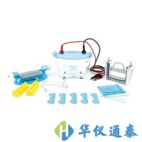 北京六一 DYCZ-24K、DYCZ-24KS型双板垂直电泳仪