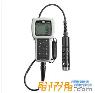 美国YSI 556MPS型多参数水质测量仪 美国YSI 556MPS型多参数水质测量仪