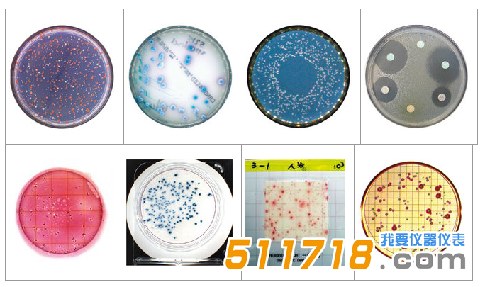 1534146096341502.png 法国interscience Scan 1200自动菌落计数器1.png