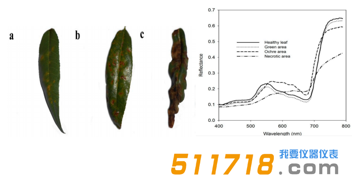 1573552156300018.png 应用案例.png