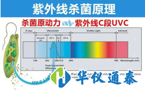 1661501694620269.png N9ZY5_K1{QH@M)$@P4J(9ZR.png